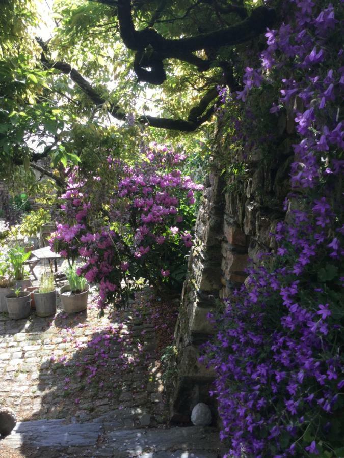 Manoir De La Groye Hotel Saint-Saturnin-sur-Loire ภายนอก รูปภาพ