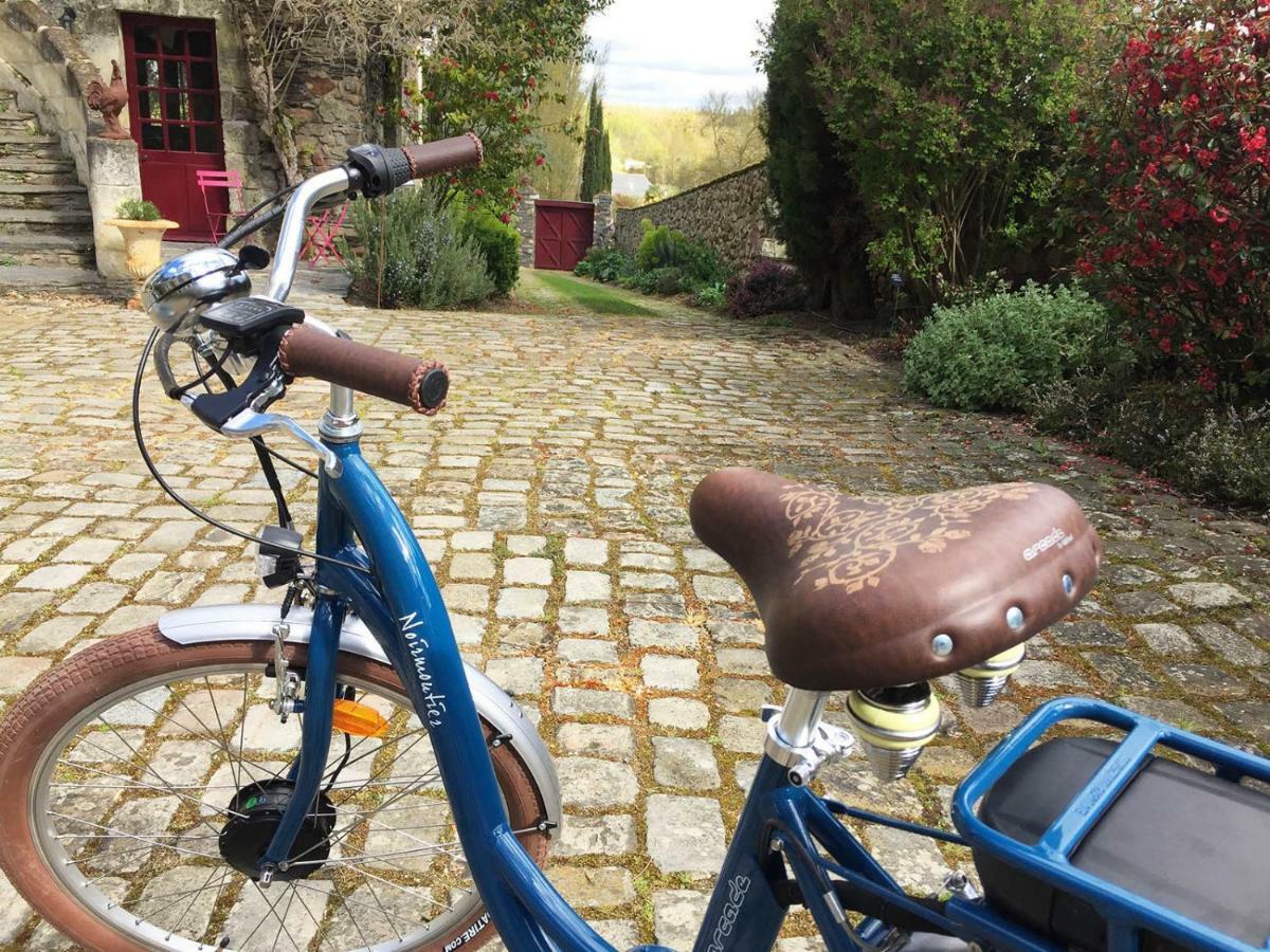 Manoir De La Groye Hotel Saint-Saturnin-sur-Loire ภายนอก รูปภาพ